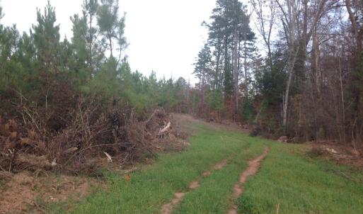 Photo of UNDER CONTRACT!  174 Acres of Hunting Land For Sale in Pittsylvania County VA!