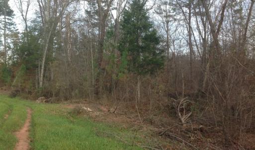 Photo of UNDER CONTRACT!  174 Acres of Hunting Land For Sale in Pittsylvania County VA!