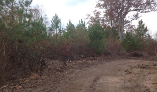 Photo of UNDER CONTRACT!  174 Acres of Hunting Land For Sale in Pittsylvania County VA!