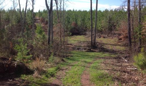 Photo of UNDER CONTRACT!  174 Acres of Hunting Land For Sale in Pittsylvania County VA!