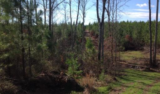 Photo of UNDER CONTRACT!  174 Acres of Hunting Land For Sale in Pittsylvania County VA!