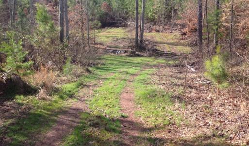 Photo of UNDER CONTRACT!  174 Acres of Hunting Land For Sale in Pittsylvania County VA!