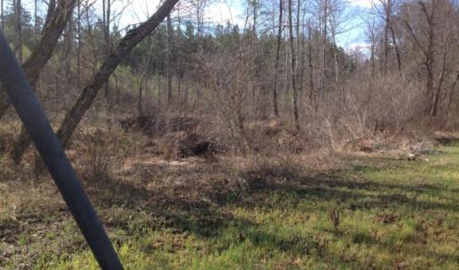 Photo of UNDER CONTRACT!  174 Acres of Hunting Land For Sale in Pittsylvania County VA!