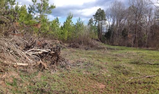 Photo of UNDER CONTRACT!  174 Acres of Hunting Land For Sale in Pittsylvania County VA!