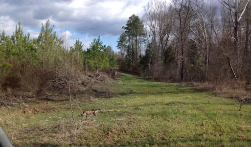 Photo of UNDER CONTRACT!  174 Acres of Hunting Land For Sale in Pittsylvania County VA!