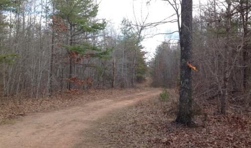 Photo of UNDER CONTRACT!  174 Acres of Hunting Land For Sale in Pittsylvania County VA!