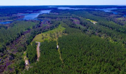 Photo of SOLD!  50 Acres of Waterfront Hunting Land for Sale in Hyde County NC!
