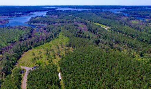 Photo of SOLD!  50 Acres of Waterfront Hunting Land for Sale in Hyde County NC!