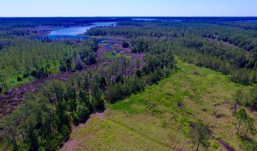 Photo of SOLD!  50 Acres of Waterfront Hunting Land for Sale in Hyde County NC!