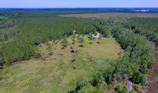 Photo of SOLD!  50 Acres of Waterfront Hunting Land for Sale in Hyde County NC!