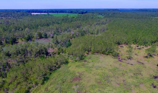 Photo of SOLD!  50 Acres of Waterfront Hunting Land for Sale in Hyde County NC!