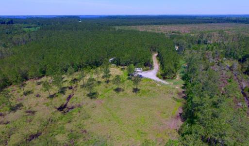 Photo of SOLD!  50 Acres of Waterfront Hunting Land for Sale in Hyde County NC!