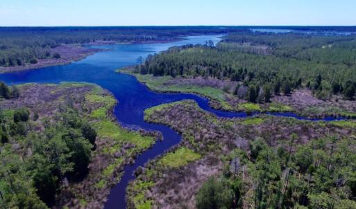 Photo of SOLD!  50 Acres of Waterfront Hunting Land for Sale in Hyde County NC!