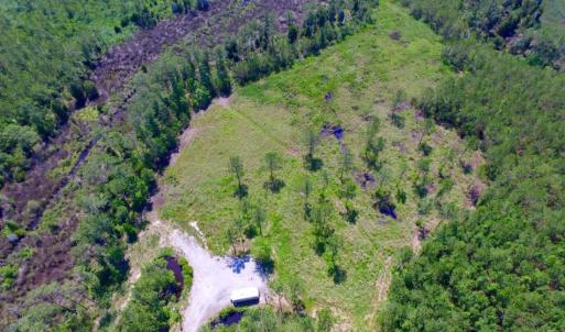 Photo of SOLD!  50 Acres of Waterfront Hunting Land for Sale in Hyde County NC!