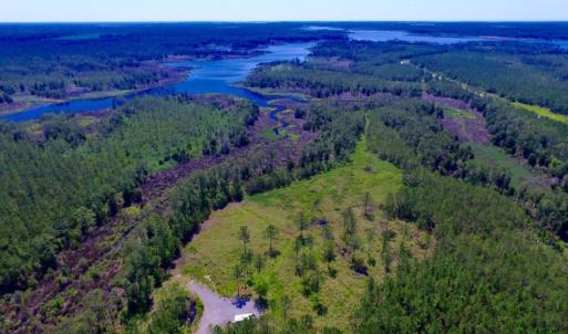 Photo of SOLD!  50 Acres of Waterfront Hunting Land for Sale in Hyde County NC!