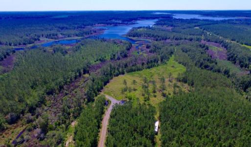 Photo of SOLD!  50 Acres of Waterfront Hunting Land for Sale in Hyde County NC!