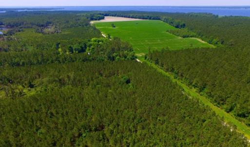 Photo of SOLD!  50 Acres of Waterfront Hunting Land for Sale in Hyde County NC!