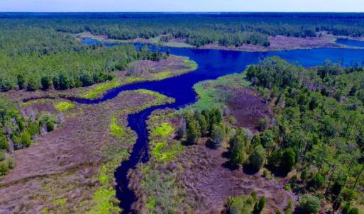 Photo of SOLD!  50 Acres of Waterfront Hunting Land for Sale in Hyde County NC!