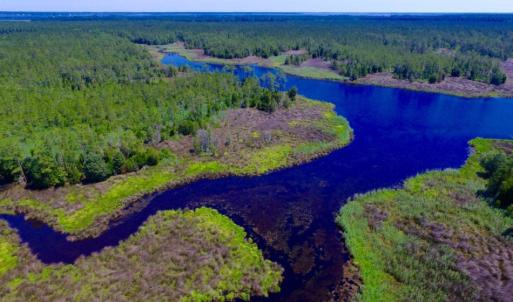 Photo of SOLD!  50 Acres of Waterfront Hunting Land for Sale in Hyde County NC!