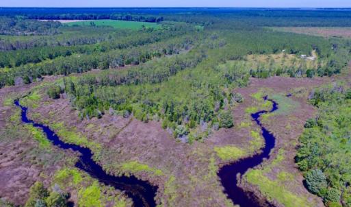 Photo of SOLD!  50 Acres of Waterfront Hunting Land for Sale in Hyde County NC!