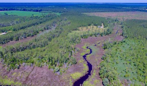 Photo of SOLD!  50 Acres of Waterfront Hunting Land for Sale in Hyde County NC!