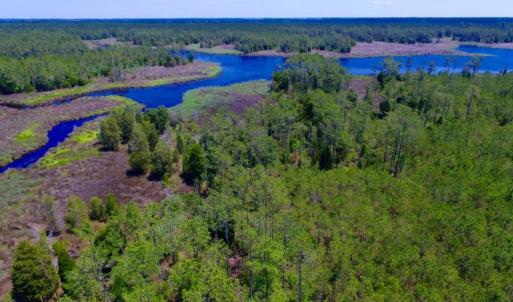 Photo of SOLD!  50 Acres of Waterfront Hunting Land for Sale in Hyde County NC!