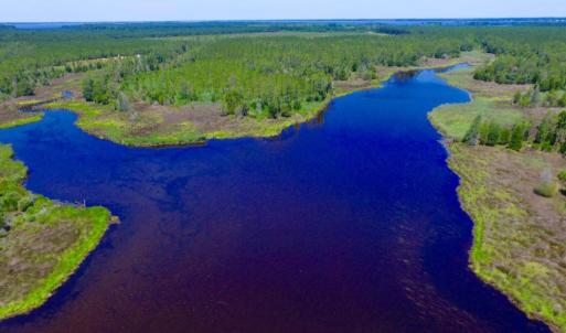 Photo of SOLD!  50 Acres of Waterfront Hunting Land for Sale in Hyde County NC!