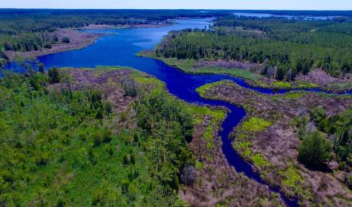 Photo of SOLD!  50 Acres of Waterfront Hunting Land for Sale in Hyde County NC!