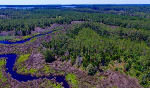Photo of SOLD!  50 Acres of Waterfront Hunting Land for Sale in Hyde County NC!
