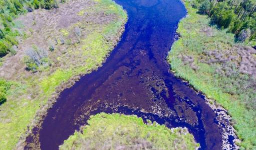 Photo of SOLD!  50 Acres of Waterfront Hunting Land for Sale in Hyde County NC!