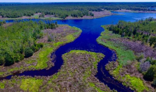 Photo of SOLD!  50 Acres of Waterfront Hunting Land for Sale in Hyde County NC!