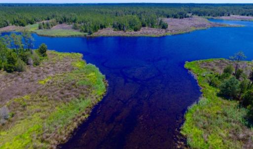 Photo of SOLD!  50 Acres of Waterfront Hunting Land for Sale in Hyde County NC!