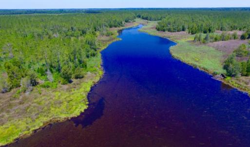 Photo of SOLD!  50 Acres of Waterfront Hunting Land for Sale in Hyde County NC!