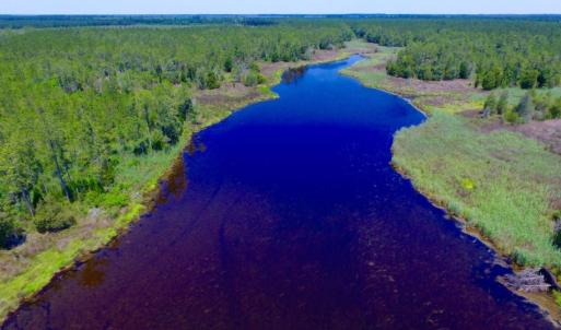 Photo of SOLD!  50 Acres of Waterfront Hunting Land for Sale in Hyde County NC!