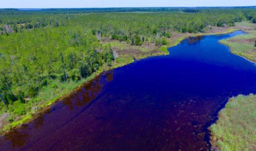 Photo of SOLD!  50 Acres of Waterfront Hunting Land for Sale in Hyde County NC!