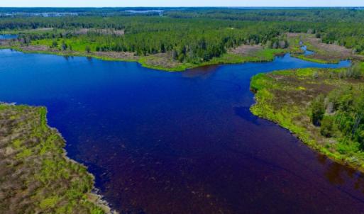Photo of SOLD!  50 Acres of Waterfront Hunting Land for Sale in Hyde County NC!