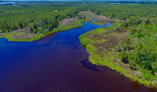 Photo of SOLD!  50 Acres of Waterfront Hunting Land for Sale in Hyde County NC!