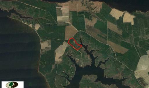 Photo of SOLD!  50 Acres of Waterfront Hunting Land for Sale in Hyde County NC!