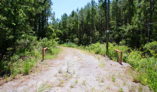Photo of SOLD!  50 Acres of Waterfront Hunting Land for Sale in Hyde County NC!