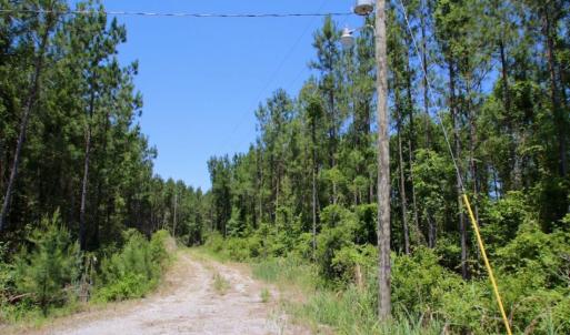 Photo of SOLD!  50 Acres of Waterfront Hunting Land for Sale in Hyde County NC!