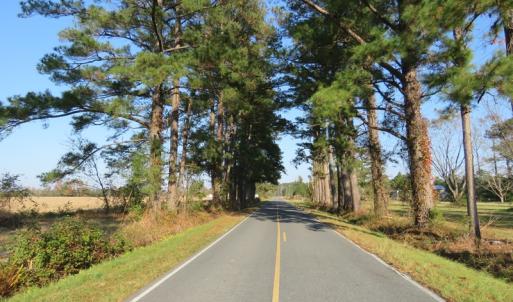 Photo of UNDER CONTRACT!  106 Acres of Residential Farm and Timber Land For Sale in Sampson County NC!