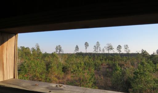 Photo of UNDER CONTRACT!  106 Acres of Residential Farm and Timber Land For Sale in Sampson County NC!