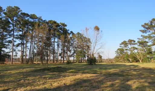 Photo of UNDER CONTRACT!  106 Acres of Residential Farm and Timber Land For Sale in Sampson County NC!