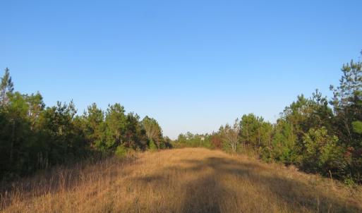 Photo of UNDER CONTRACT!  106 Acres of Residential Farm and Timber Land For Sale in Sampson County NC!