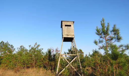 Photo of UNDER CONTRACT!  106 Acres of Residential Farm and Timber Land For Sale in Sampson County NC!
