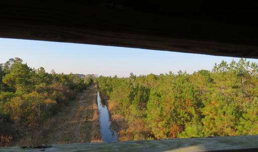Photo of UNDER CONTRACT!  106 Acres of Residential Farm and Timber Land For Sale in Sampson County NC!