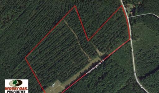 Photo of SOLD!  45 acre Hunting and Timber Land for Sale in Pamlico County NC!