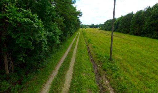 Photo of SOLD!  45 acre Hunting and Timber Land for Sale in Pamlico County NC!