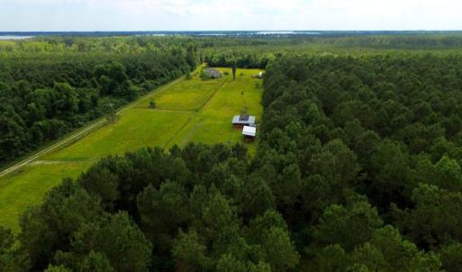 Photo of SOLD!  45 acre Hunting and Timber Land for Sale in Pamlico County NC!