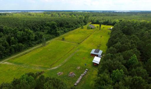 Photo of SOLD!  45 acre Hunting and Timber Land for Sale in Pamlico County NC!